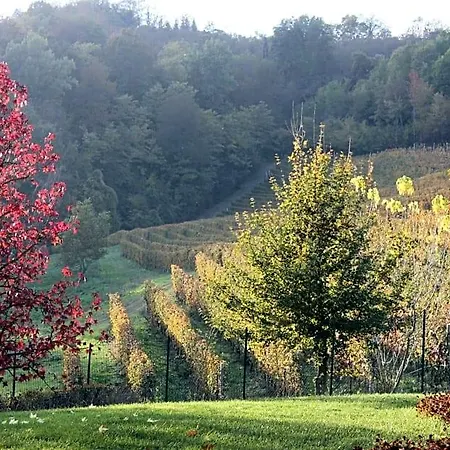 Bricco Fiore Briaglia