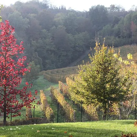 Frühstückspension Bricco Fiore 3*