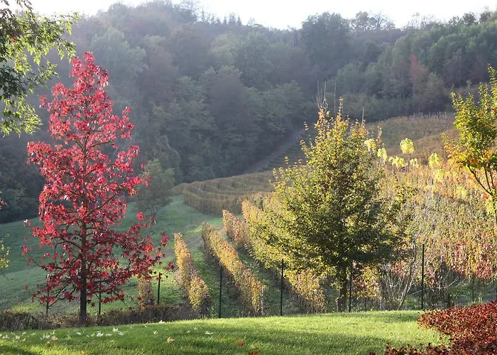 Bed & Breakfast Bricco Fiore 3*